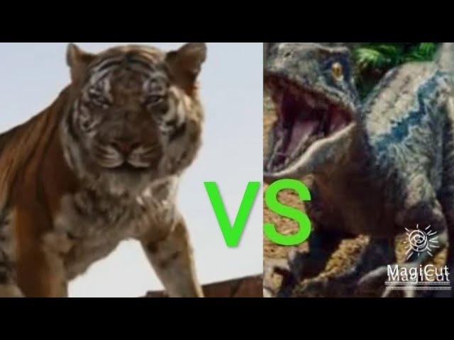 SHERE KHAN VS BLUE ... @CharactersOfficial932 / The Jungle Book vs Jurassic World