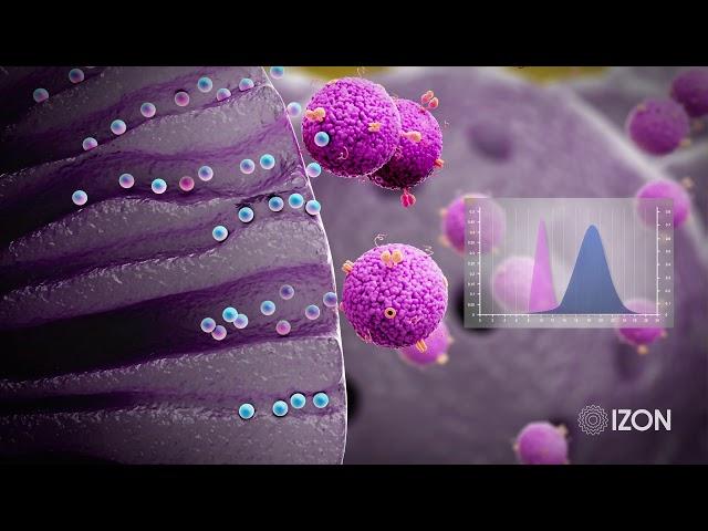 How qEV Isolation Harnesses Size Exclusion Chromatography (SEC) for EV Isolation