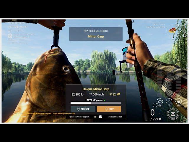 The Hunt For Oversize Carps Using Spod Rod - Weeping Willow - Fishing Planet