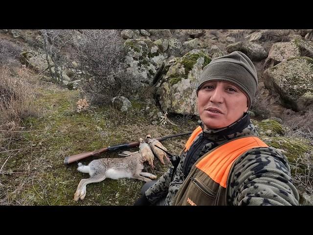 KEKLİĞİN DÜŞTÜĞÜ YERDEN TAVŞAN KALKTI. ZORLU ARAZİ. KEKLİK TAVŞAN AVI. PARTRIDGE HARE HUNT. CHUKAR