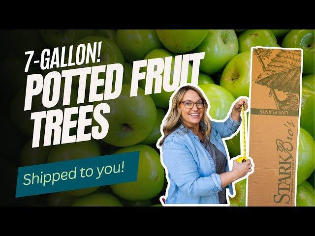 7-Gallon Potted Fruit Trees- Delivered to You!