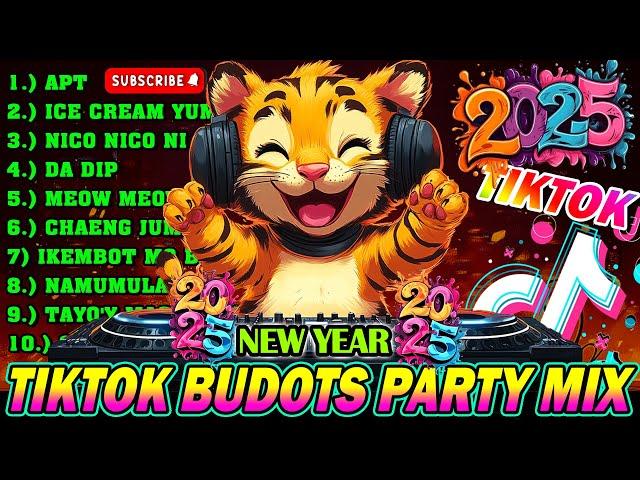 [TRENDING 2025] New VIRAL TIKTOK DISCO REMIX 2025 - BUDOTS DANCE REMIX 2024