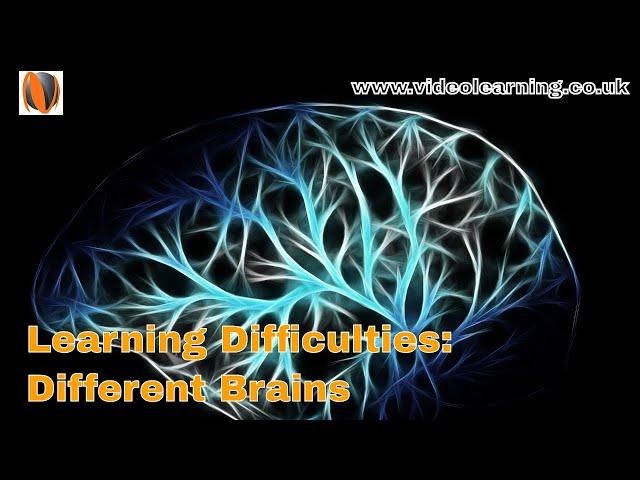 Learning Difficulties: Different Brains