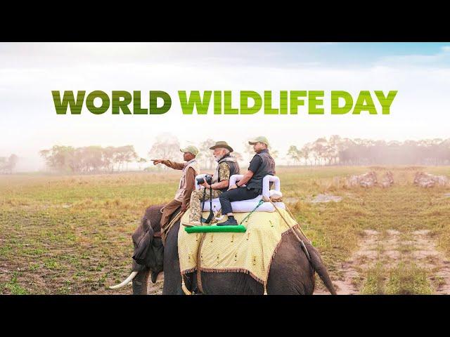 On World Wildlife Day, best wishes to wildlife lovers and conservationists