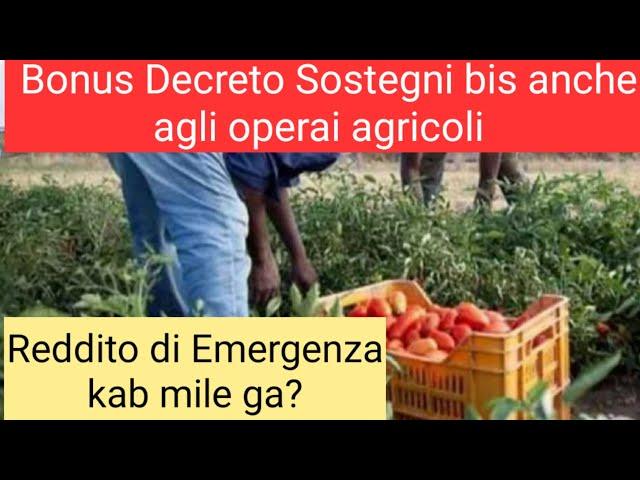 Bonus operai Agricoli | Reddito di Emergenza kab mile ga?