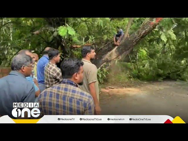 പരപ്പനങ്ങാടിയിൽ ഓടികൊണ്ടിരുന്ന കണ്ടെയ്നറിനു മുകളിലേക്ക് മരം വീണ് ഗതാഗതം തടസ്സപ്പെട്ടു