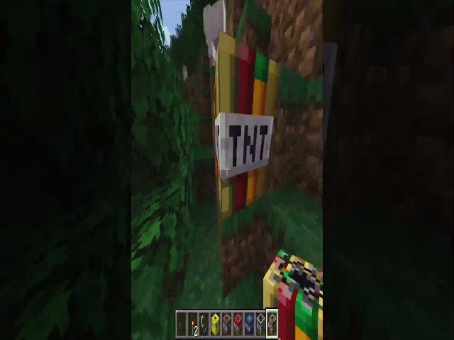 Minecraft TNT 7 #minecraft #shorts #майнкрафт #memes #мем #прикол #оригинал #TNT #взрыв #girl #деву