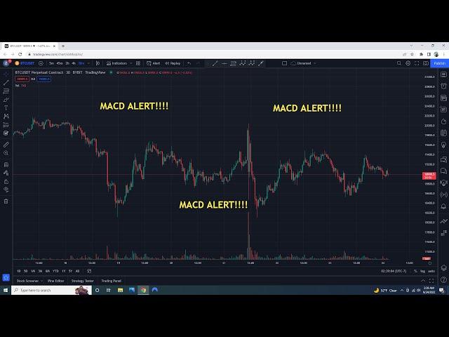 How to set ALERT for MACD Indicator on tradingview