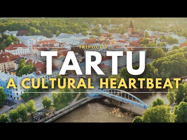 Exploring Tartu: Estonia's Cultural Heartbeat