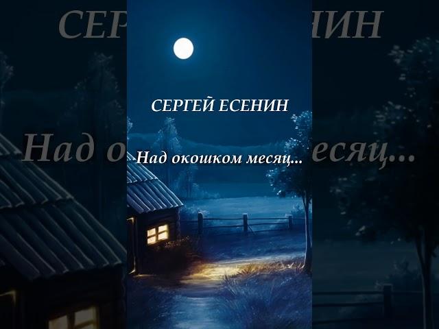 Поэзия под биты Сергей Есенин "Над окошком месяц" Short