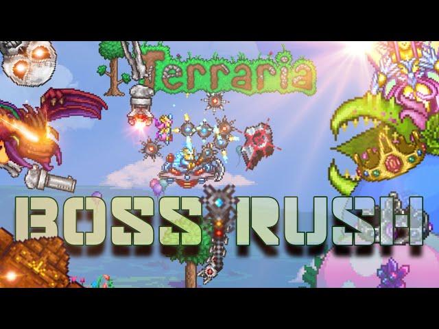 Terraria Boss Rush: Deadly Sphere Staff VS All Bosses