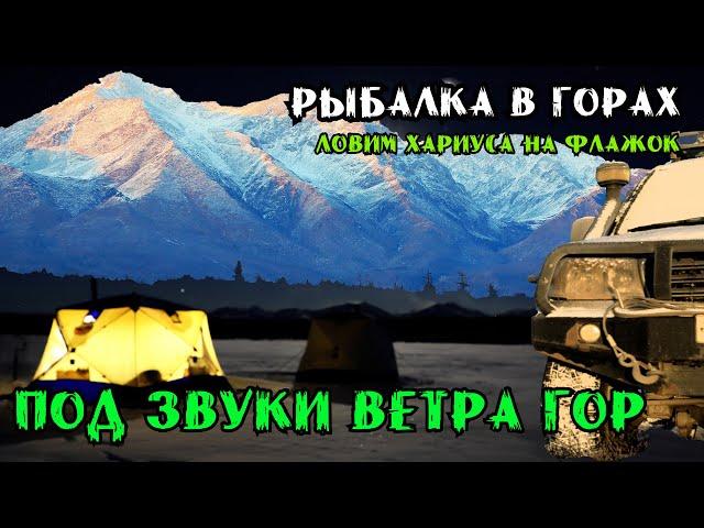 Клёв Хариуса на Флажок. Ночлег в Палатке у самого Неба #сибирь #тайга #fishing