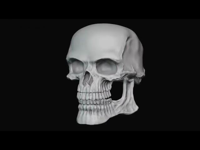 Skull Meme