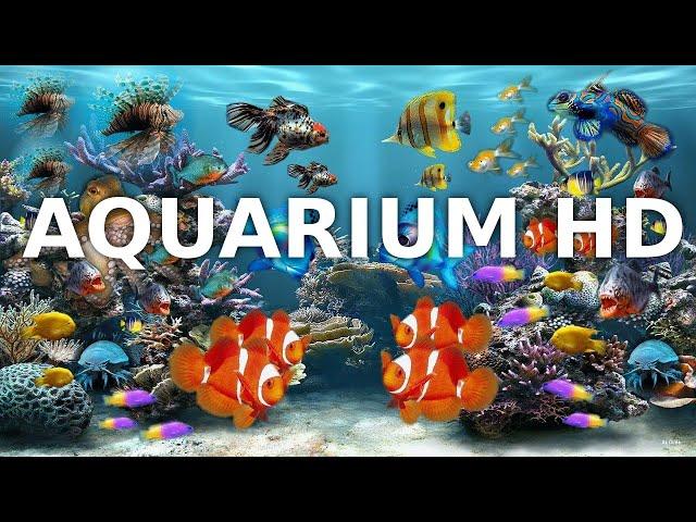 Aquarium Music | Aquarium Sounds And Background Relaxing Music | Deep Sleep | 3h Full HD Screensaver