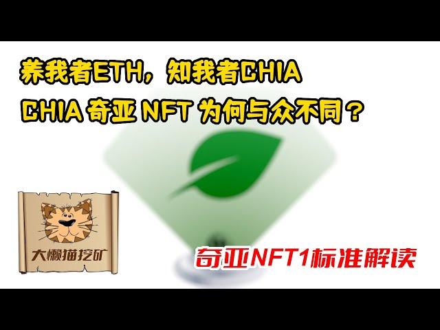 CHIA 奇亚 NFT1 标准中可以了解到什么？奇亚NFT有何与众不同之处？奇亚NFT基本架构 什么是DID? 带DID的NFT VS 不带DID的NFT