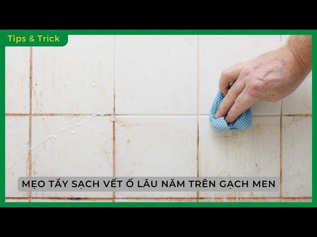 Mẹo TẨY SẠCH VẾT Ố VÀNG lâu năm trên GẠCH MEN hiệu quả, nhanh chóng, CỰC DỄ LÀM  - Bách hoá XANH