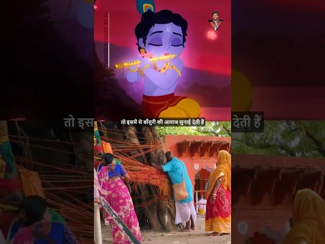 पेड़ से आती हैं भगवान श्री कृष्ण की बाँसुरी की आवाज #srikrishna #uttarpradesh #youtubeshorts