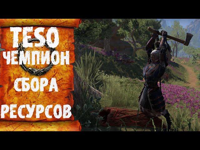 TESO - крафтовый сет для спринтера на сбор ресурсов. 100 000 голды за комментарий.