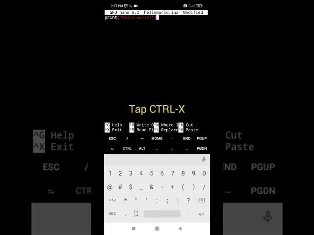 Hello World Program in Lua Using GNU Nano Editor on Termux (Android)