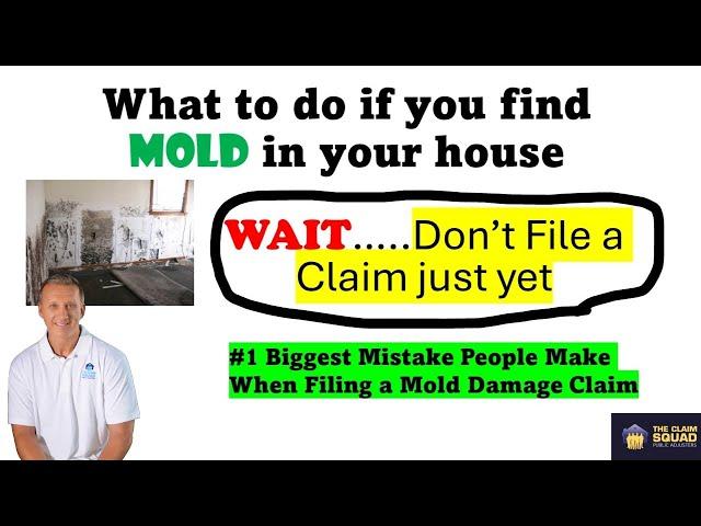 What to do if you find Mold in your house