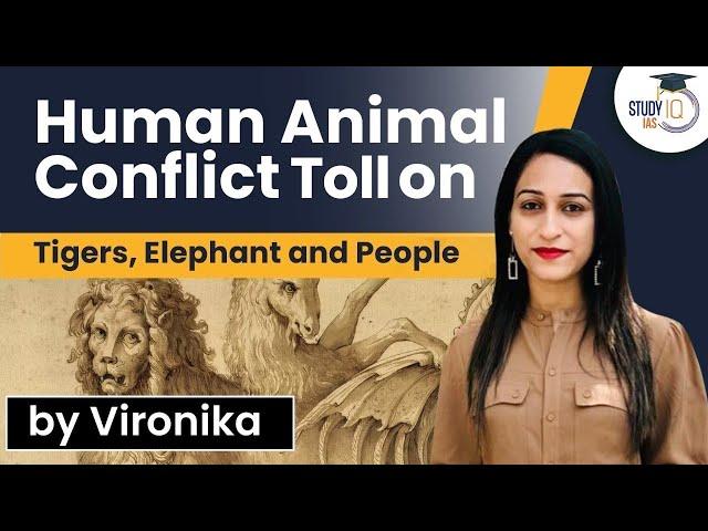 Human-Animal conflict: Huge casualties recorded of tigers, elephants and people | Explained | UPSC