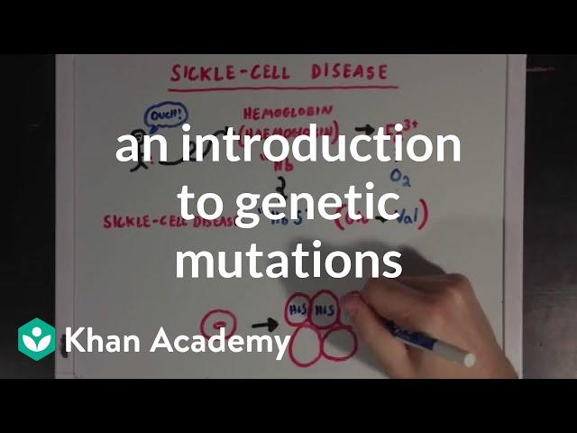 An introduction to genetic mutations | Biomolecules | MCAT | Khan Academy