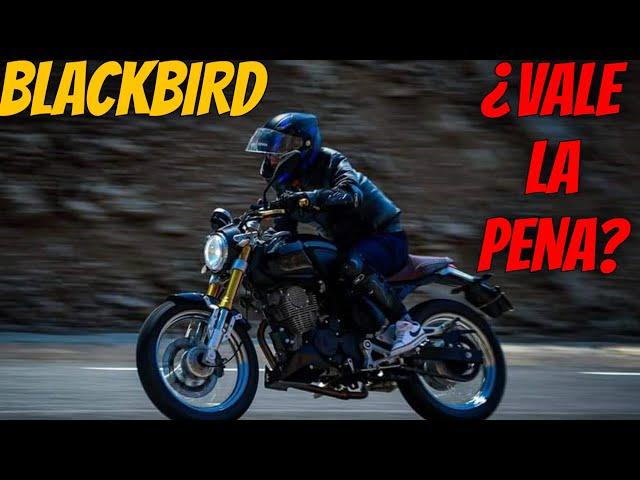 ITALIKA BLACKBIRD RESEÑA HONESTA CON EL DUEÑO ¿Vale la pena? #CafeRacer #Italika blackbird 250 2024