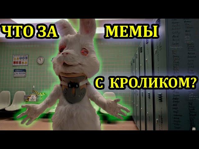 Кролик Ральф откуда. Что за мемы с кроликом. Кролик Ральф мемы