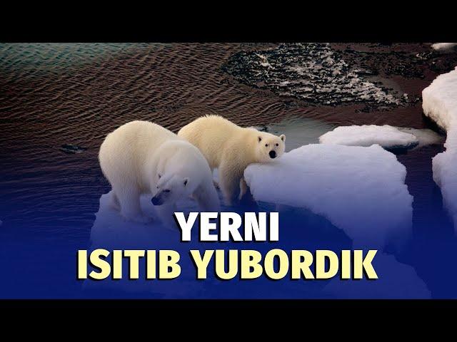 Sayyora qizib boryapti, Yevropa muzlayapti. 2024 yilda iqlim bo‘yicha antirekord yangilanadi