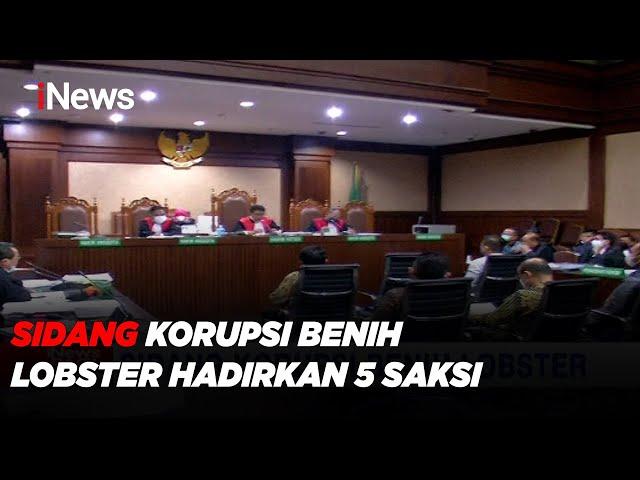 Sidang Korupsi Benih Lobster Hadirkan 5 Saksi - iNews Pagi 16/06