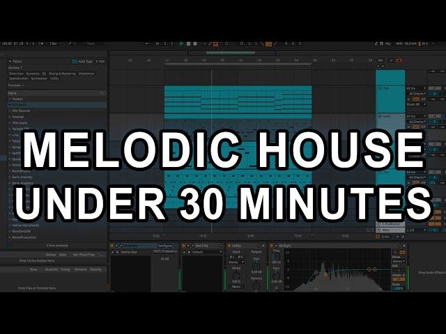 Melodic House Track Under 30 minutes #4 (Anjunadeep, Lane 8, Sultan+Shepard)