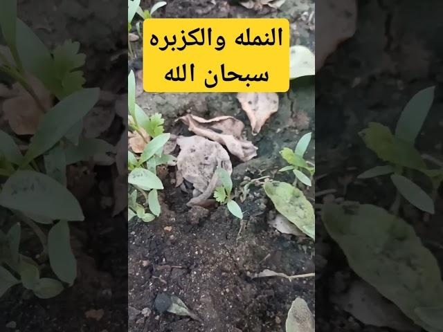 لازم نتعلم منها