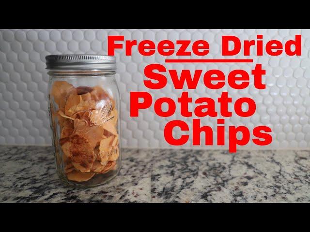 Freeze dried Sweet Potato Chips -- Freeze Dried Yams