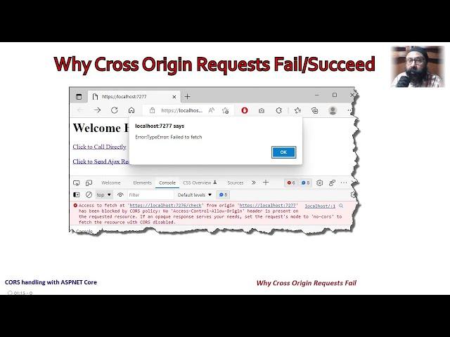 Why Cross Origin Requests (CORS) Fail/Succeed | CORS with ASPNET Core