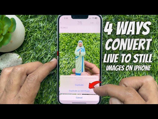 4 Ways to Convert Live Photos to Still Images on iPhone