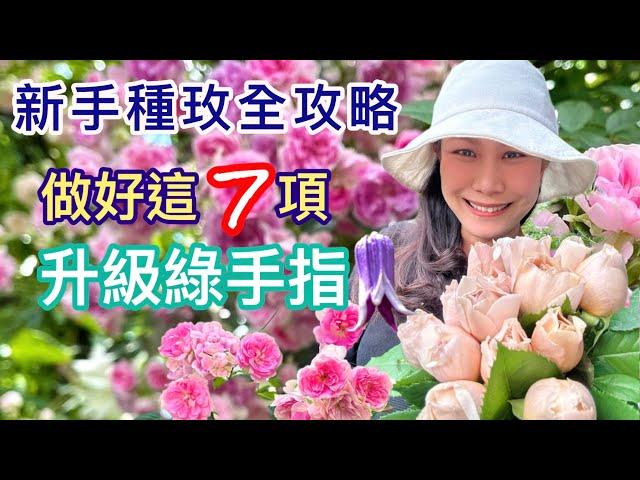 【保存版】如何種好玫瑰！介質澆水控水修剪下肥…息息相關問題一舉說明！包含扦插方式