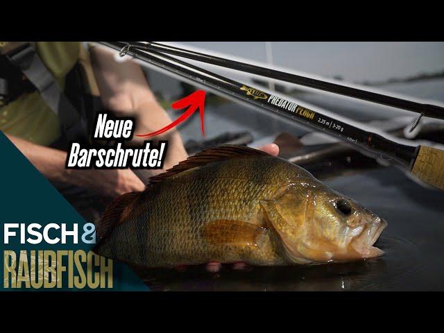 Die Predator Perch Barschrute - eine für alles!