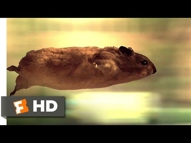 The Nutty Professor (1/12) Movie CLIP - Hamster Havoc (1996) HD