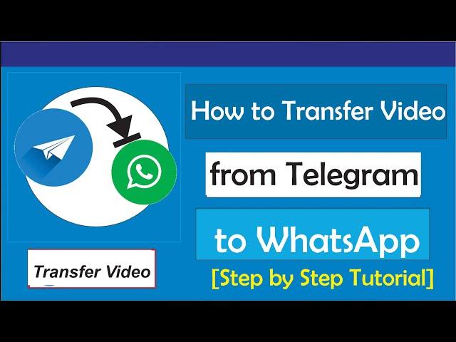 How to Transfer Video from Telegram to WhatsApp