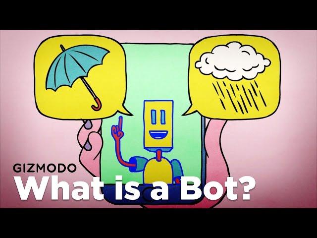 What Is a Bot?