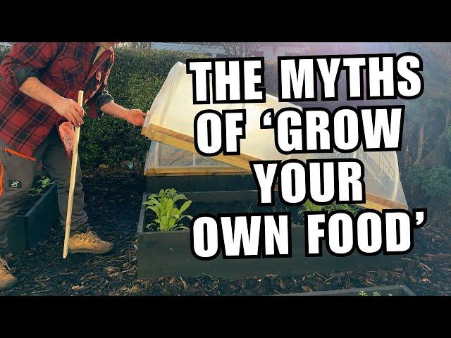 I challenge 5 popular myths about growing your own food.