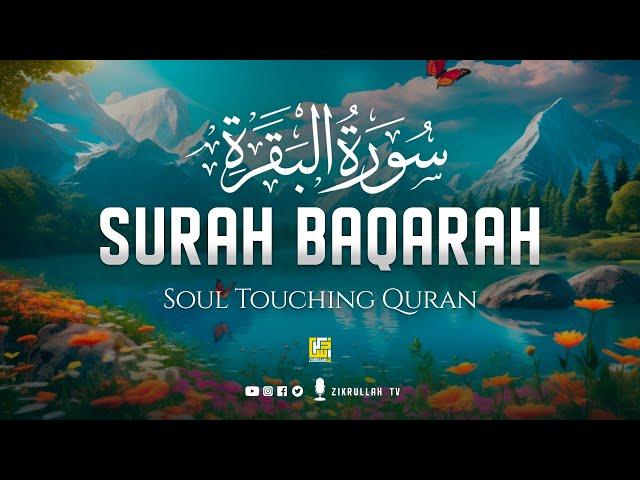 Very calming recitation of Surah Al Baqarah Full (سورة البقره)  | Zikrullah TV