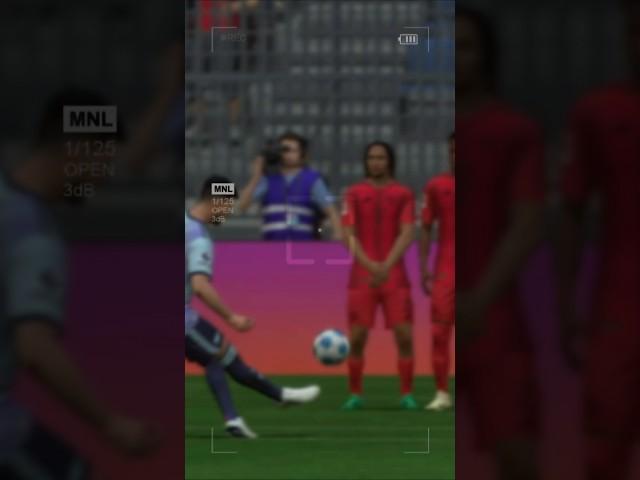 FREEKICK rice