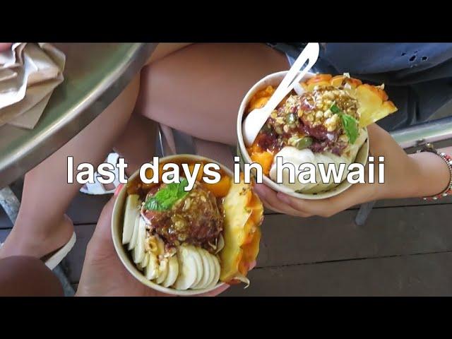 hawaii vlog part 2