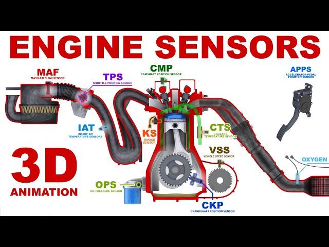 Engine Sensors - Basics. 3D Animation