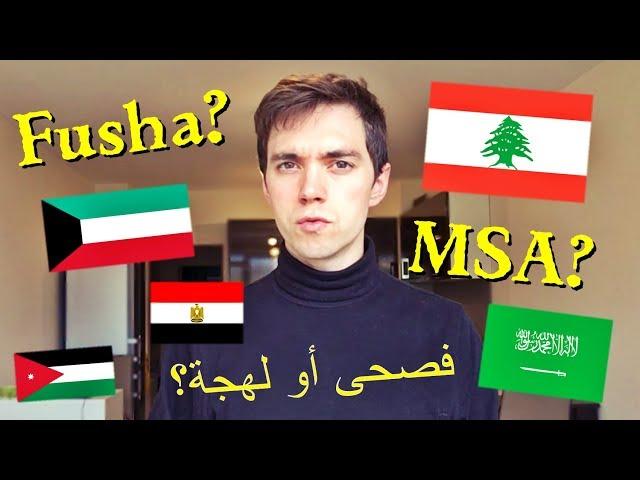 Learn Arabic: Fusha / MSA or Dialect?