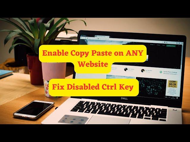 Enable Copy Paste on ANY Website | Fix Disabled Ctrl Key (2024)