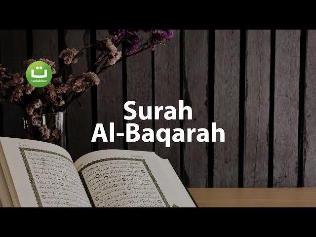 Juz 1 Surah Al Baqarah سورة البقرة - Abu Usamah ᴴᴰ | Tadabbur Daily