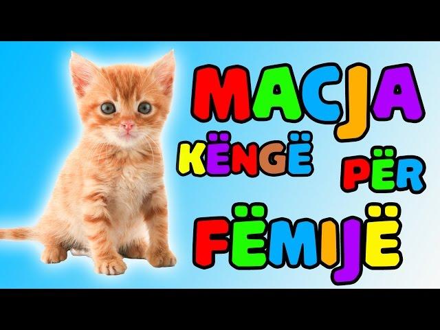 macja le te lahet kenge (Kenge per femije) │ Bleta ™