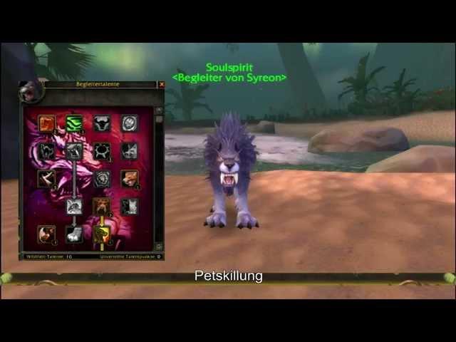 WoW MM-Hunter PvE Guide 3.3.5 [HD]